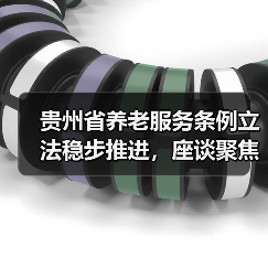 贵州省养老服务条例立法稳步推进,座谈聚焦关键问题(图3) 贵州省养老服务条例立法稳步推进,座谈聚焦关键问题(图3)