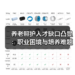 养老照护人才缺口凸显:职业困境与培养难题(图2) 养老照护人才缺口凸显:职业困境与培养难题(图2)
