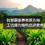 智慧居家养老新方向:工信部力推电信运营商服务升级(图2) 智慧居家养老新方向:工信部力推电信运营商服务升级(图2)