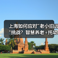 上海如何应对 上海如何应对