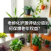 老龄化护理评估分级如何保障老年权益?(图1) 老龄化护理评估分级如何保障老年权益?(图1)