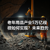 老年用品产业5万亿规模如何实现?未来趋势全解析(图4) 老年用品产业5万亿规模如何实现?未来趋势全解析(图4)