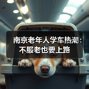 南京老年人学车热潮:不服老也要上路(图3) 南京老年人学车热潮:不服老也要上路(图3)