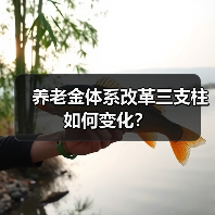 养老金体系改革三支柱如何变化?(图2) 养老金体系改革三支柱如何变化?(图2)