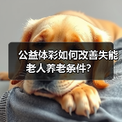 公益体彩如何改善失能老人养老条件?(图2) 公益体彩如何改善失能老人养老条件?(图2)