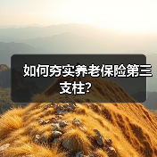 如何夯实养老保险第三支柱?(图3) 如何夯实养老保险第三支柱?(图3)