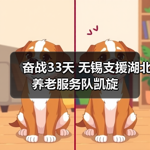 奋战33天 无锡支援湖北养老服务队凯旋(图4) 奋战33天 无锡支援湖北养老服务队凯旋(图4)