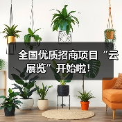 全国优质招商项目“云展览”开始啦!(图1) 全国优质招商项目“云展览”开始啦!(图1)