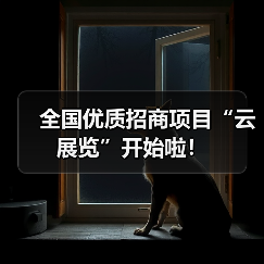全国优质招商项目“云展览”开始啦!(图3) 全国优质招商项目“云展览”开始啦!(图3)