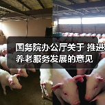 国务院办公厅关于 推进养老服务发展的意见(图2) 国务院办公厅关于 推进养老服务发展的意见(图2)