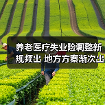 养老医疗失业险调整新规频出 地方方案渐次出炉（图4）