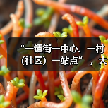“一镇街一中心、一村(社区)一站点” ,大足区实现城乡养老服务设施全覆盖(图2) “一镇街一中心、一村(社区)一站点” ,大足区实现城乡养老服务设施全覆盖(图2)