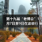 第十九届“老博会”11月7日至9日在渝举行 展览亮点抢先看(图4) 第十九届“老博会”11月7日至9日在渝举行 展览亮点抢先看(图4)