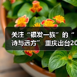 关注“银发一族”的“诗与远方” 重庆出台20项暖心举措增进老年人福祉(图4) 关注“银发一族”的“诗与远方” 重庆出台20项暖心举措增进老年人福祉(图4)