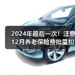 2024年最后一次！注意12月养老保险费批量扣款时间！别错过（图1）