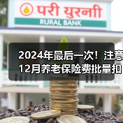 2024年最后一次！注意12月养老保险费批量扣款时间！别错过（图4）
