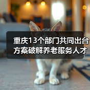 重庆13个部门共同出台方案破解养老服务人才匮乏难题 养老服务人才将有岗位补贴可评职称(图3) 重庆13个部门共同出台方案破解养老服务人才匮乏难题 养老服务人才将有岗位补贴可评职称(图3)