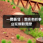 一图看懂｜重庆老龄事业发展新图景（图4）