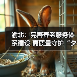 渝北:完善养老服务体系建设 高质量守护“夕阳红”(图1) 渝北:完善养老服务体系建设 高质量守护“夕阳红”(图1)