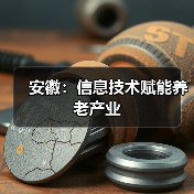 安徽:信息技术赋能养老产业(图3) 安徽:信息技术赋能养老产业(图3)