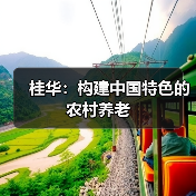 桂华:构建中国特色的农村养老(图4) 桂华:构建中国特色的农村养老(图4)