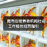 我市印发养老机构社会工作服务规范指引(图1) 我市印发养老机构社会工作服务规范指引(图1)