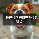 推进社区居家养老体系建设(图1) 推进社区居家养老体系建设(图1)