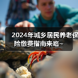 2024年城乡居民养老保险缴费指南来咯~（图1）