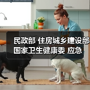 民政部 住房城乡建设部 国家卫生健康委 应急管理部 市场监管总局关于做好2020年养老院服务质量建设专项行动工作的通知(图4) 民政部 住房城乡建设部 国家卫生健康委 应急管理部 市场监管总局关于做好2020年养老院服务质量建设专项行动工作的通知(图4)