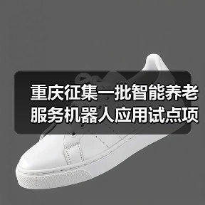 重庆征集一批智能养老服务机器人应用试点项目(图2) 重庆征集一批智能养老服务机器人应用试点项目(图2)