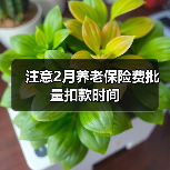注意2月养老保险费批量扣款时间(图2) 注意2月养老保险费批量扣款时间(图2)
