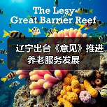 辽宁出台《意见》推进养老服务发展(图1) 辽宁出台《意见》推进养老服务发展(图1)
