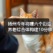 扬州今年将建六个街道养老综合体构建10分钟养老服务圈(图3) 扬州今年将建六个街道养老综合体构建10分钟养老服务圈(图3)