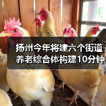 扬州今年将建六个街道养老综合体构建10分钟养老服务圈(图4) 扬州今年将建六个街道养老综合体构建10分钟养老服务圈(图4)