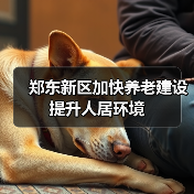 郑东新区加快养老建设提升人居环境(图4) 郑东新区加快养老建设提升人居环境(图4)