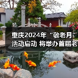 重庆2024年“敬老月”活动启动 将举办首届老年体育健身团队联赛(图1) 重庆2024年“敬老月”活动启动 将举办首届老年体育健身团队联赛(图1)