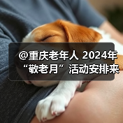 @重庆老年人 2024年“敬老月”活动安排来了！ 五类活动丰富银发生活（图1）