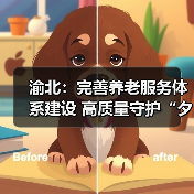 渝北：完善养老服务体系建设 高质量守护“夕阳红”（图1）