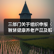 三部门关于组织申报《智慧健康养老产品及服务推广目录（2020年版）》的通知（图2）