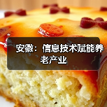 安徽:信息技术赋能养老产业(图1) 安徽:信息技术赋能养老产业(图1)