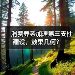消费养老加速第三支柱建设,效果几何?(图2) 消费养老加速第三支柱建设,效果几何?(图2)