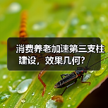 消费养老加速第三支柱建设,效果几何?(图1) 消费养老加速第三支柱建设,效果几何?(图1)