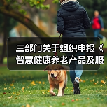 三部门关于组织申报《智慧健康养老产品及服务推广目录（2020年版）》的通知（图4）