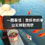 一图看懂｜重庆老龄事业发展新图景（图1）